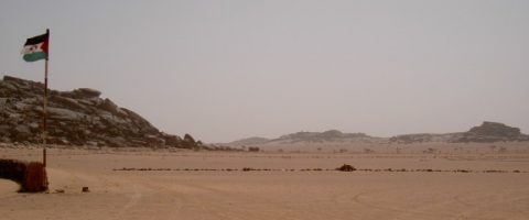 Le Polisario vivier du terrorisme en zone sahélo-saharienne