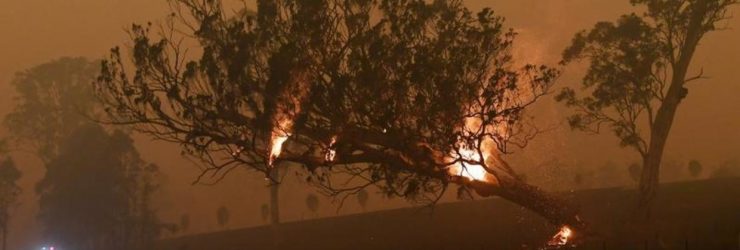 Plusieurs incendies enfin sous contrôle en Australie