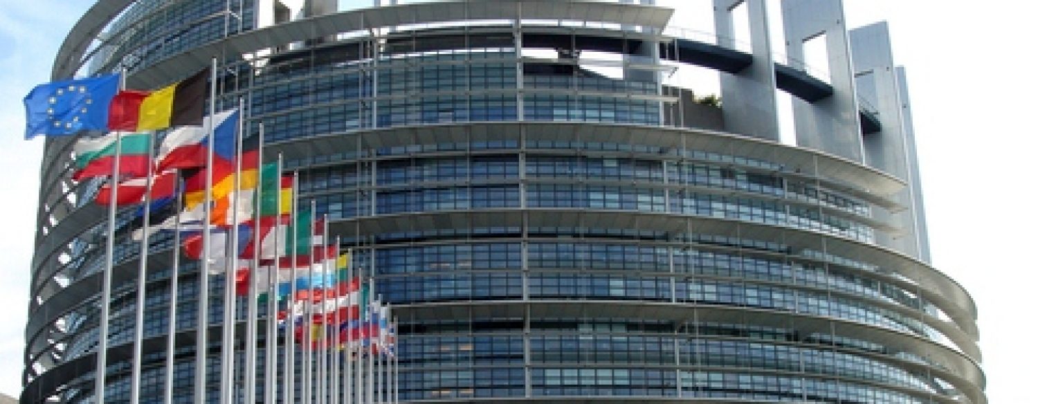 Le poids de l’extrême droite au Parlement européen : les explications de Jean-Yves Camus