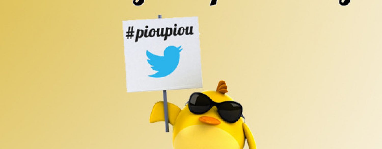Après les #pigeons, les #pioupiou… Hollande dépèce les auto-entrepreneurs