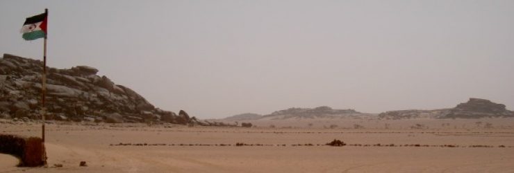 Un début d’année 2013 sombre pour le Polisario et l’Algérie