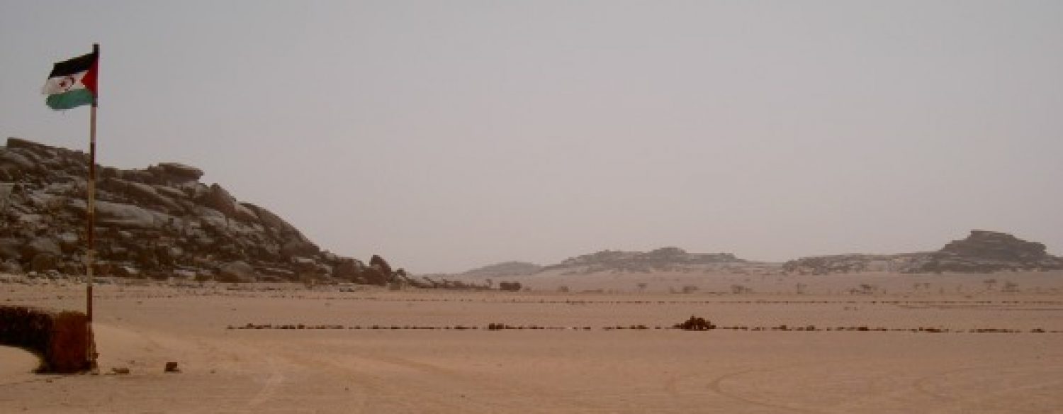 Un début d’année 2013 sombre pour le Polisario et l’Algérie