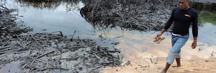 Delta du Niger : Shell condamné pour pollution des eaux