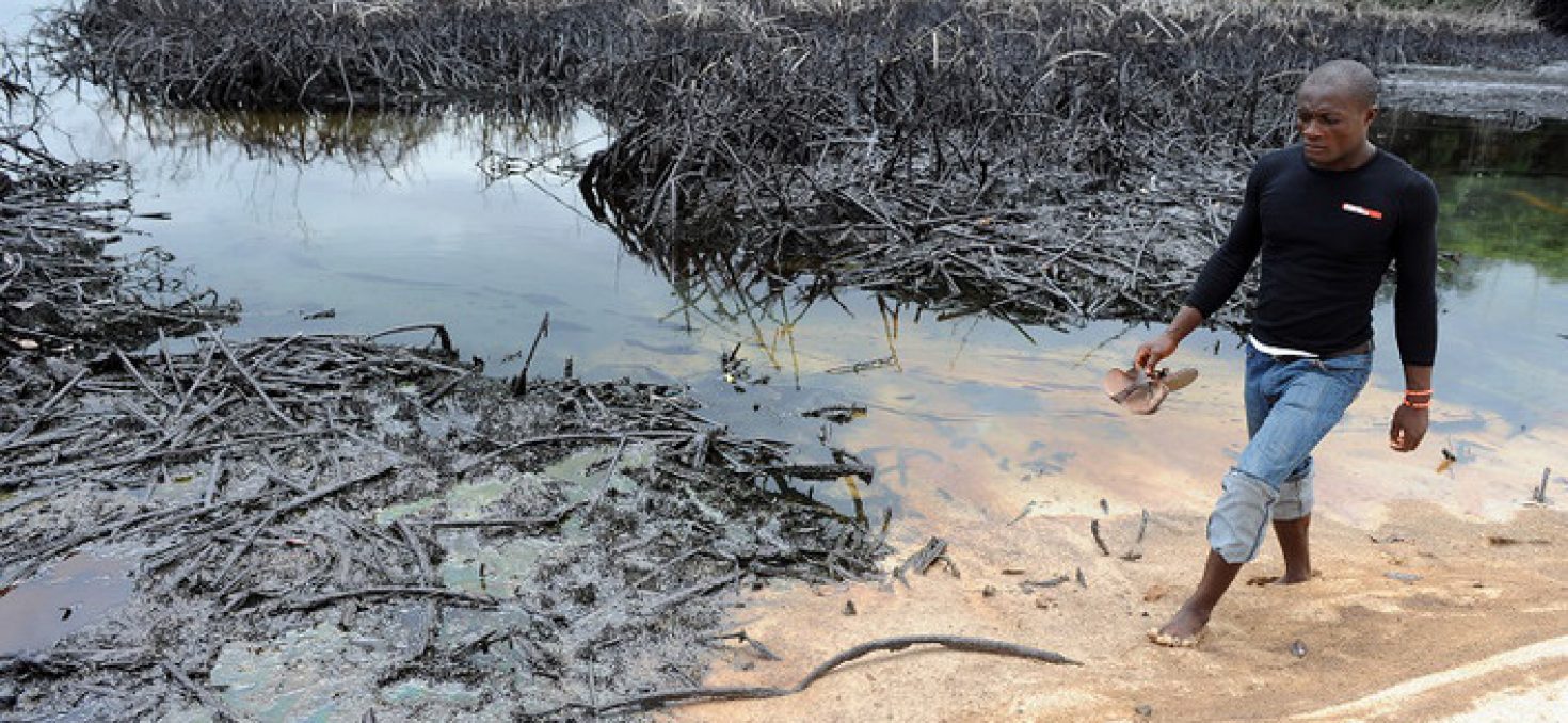 Delta du Niger : Shell condamné pour pollution des eaux