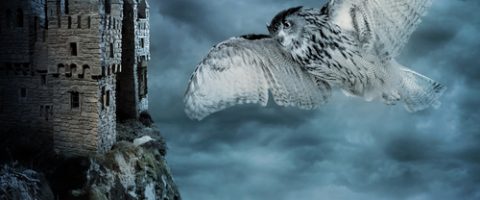 Après Harry Potter, une nouvelle trilogie par J.K. Rowling bientôt au cinéma